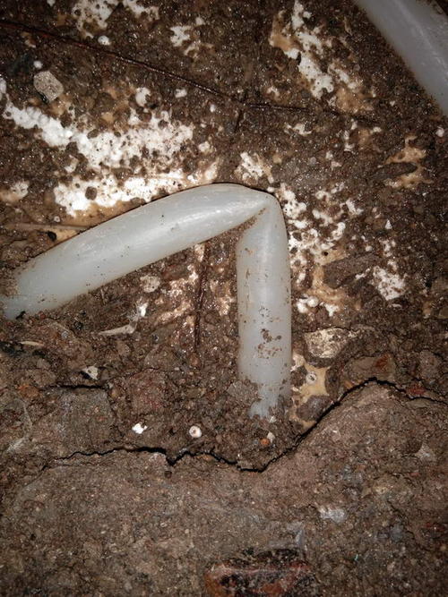 仙游堵点精准查找